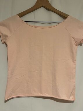 NWOT Brandy Melville Pink Bonnie Top